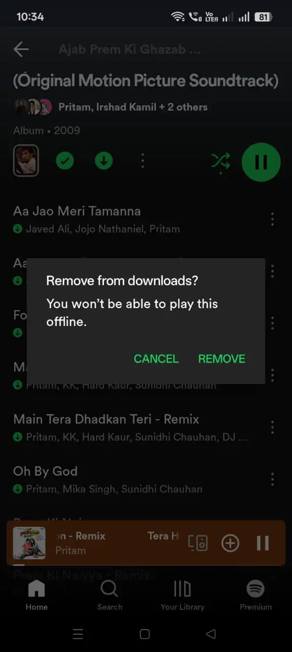 Removing downloaded music from Spotify MOD APK